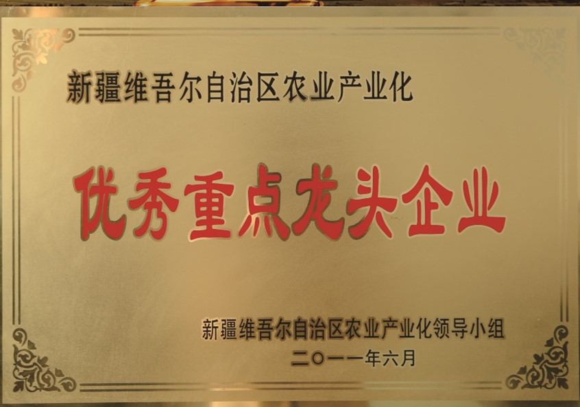 自治區(qū)農(nóng)業(yè)產(chǎn)業(yè)化優(yōu)秀重點(diǎn)龍頭企業(yè)